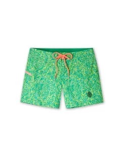 STIO Women's CFS Board Short