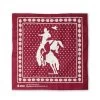 Stio® Rodeo Bandana