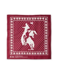 Stio® Rodeo Bandana